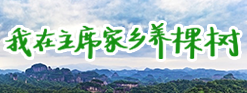 我在主席家鄉養棵樹