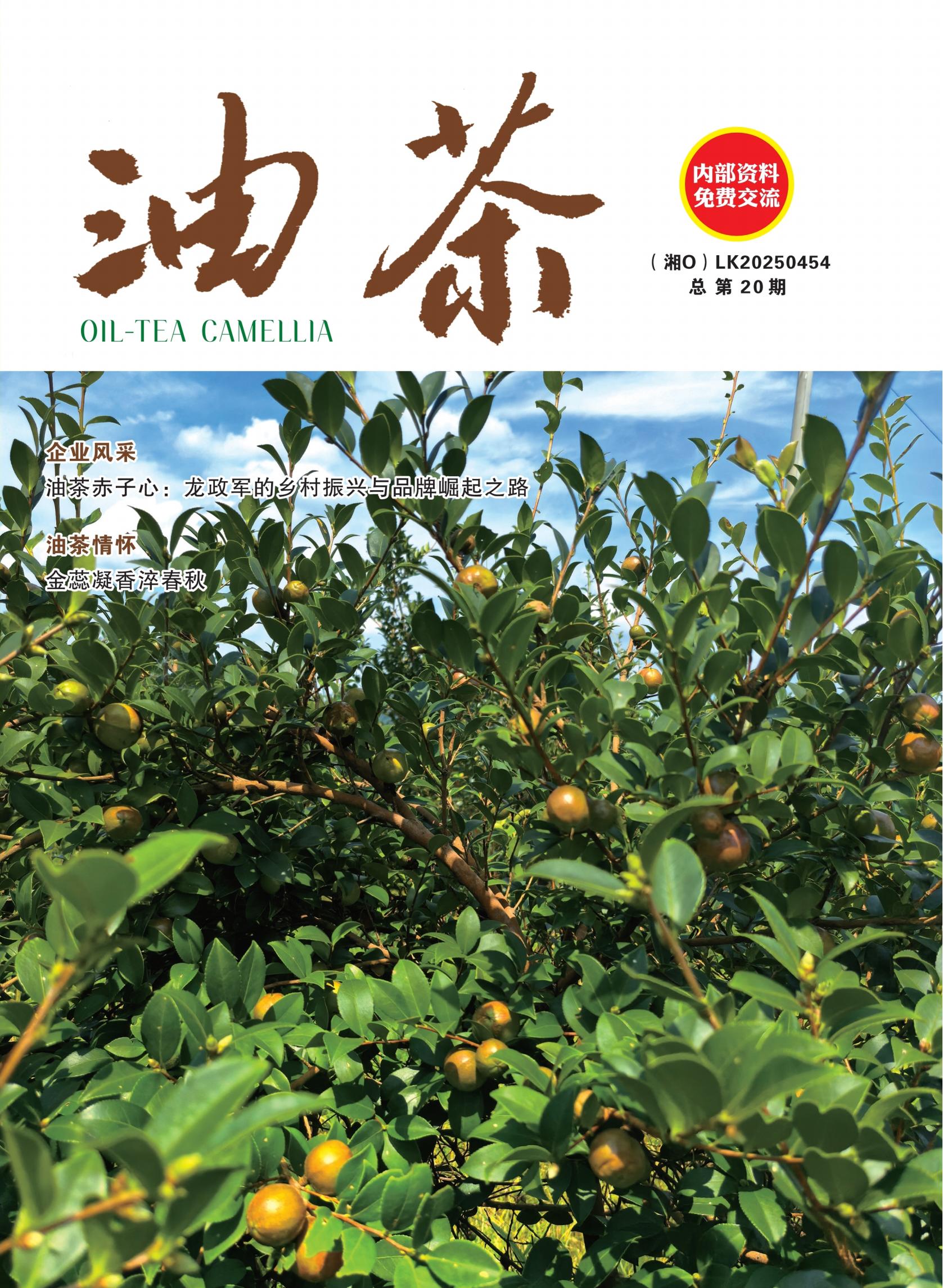 總第20期